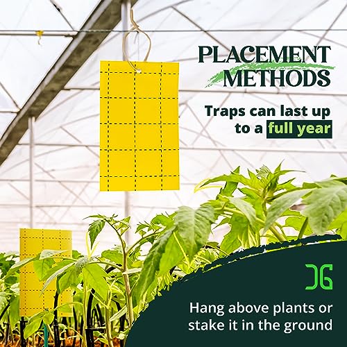 Catchmaster GRO Yellow Sticky Trap 72PK, Adhesive Outdoor Insect Trap, Protect Live Plants Indoor, Bug, & Fruit Fly Trap, Glue Traps for Home, Farm, Garden, Hydroponics, & Greenhouse, Pest Control