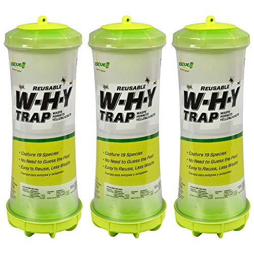 RESCUE! WHY Trap for Wasps, Hornets, & Yellowjackets – Hanging Outdoor Trap - 3 Traps