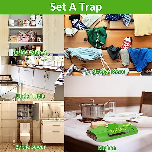 24 Pack Roach Traps Indoor Roach Killer Indoor Infestation, Cockroach Killer Indoor Home Cockroach Trap Sticky Traps for Insects
