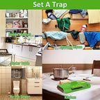 24 Pack Roach Traps Indoor Roach Killer Indoor Infestation, Cockroach Killer Indoor Home Cockroach Trap Sticky Traps for Insects