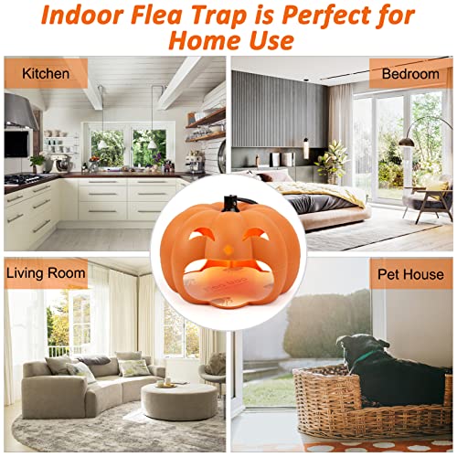 Flea Traps for Inside Your Home, 2 Pack Flea Trap, Flea Light Trap, Indoor Flea Treatment for Home, Pumpkin Flea Bed Bug Killer with Refills & Replacement Bulbs, Pet Safe Flea Insect Pest Catcher