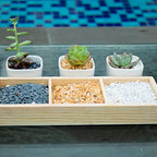 Anothera 7LB Succulent and Cactus Bonsai Gritty Mix Rocks, DIY Additive Pre-Mixed Faster Draining Blend, No Root Rot