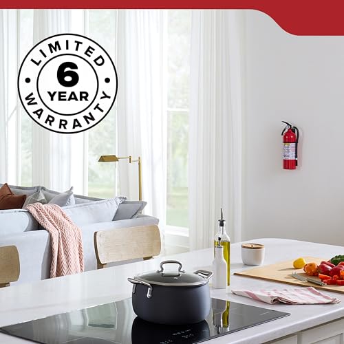 Kidde Fire Extinguisher for Home, Garage & Workshop Use, 3-A:40-B:C, 8.85 Lbs., Hose & Wall Mount (Included)
