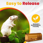 Utopia Home Humane Mouse Traps Indoor for Home (Pack of 4) - Brown Reusable Mice Traps for House Indoor - Pet Safe Mouse Trap Easy to Set, Quick, Effective, & Safe Rodent Trap