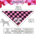 ADOGGYGO Dog Birthday Party Supplies, Multi Size Offered, Birthday Girl Dog Bandana, Dog Birthday Hat Crown with Numbers for Small Dogs Pets (Small, Pink)