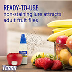 TERRO Indoor Fruit Fly Trap (2-count) | Terro Traps In – Built With Window Sinks