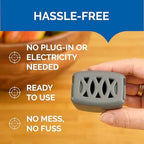 Hot Shot Flying Insect Trap, Discreet, Trap Attracts, Captures and Kills House Flies and Fruit Flies, 24/7 Continuous Attraction, No Plug-in Or Electricity Needed, 6 Count