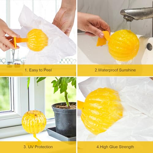 Sticky Fruit Fly Trap Ball,Fruit Fly Traps Sticky Traps Ball,Fruit Fly and Fungus Gnat Sticky Catcher Trap for Indoor Outdoor Flying Insect Bug Pest Gnat Traps Ball for House Kitchen Sticky Traps