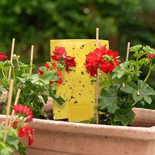 Gideal 50-Pack Dual-Sided Yellow Sticky Traps for Flying Plant Insect Such as Fungus Gnats, Whiteflies, Aphids, Leafminers,Thrips - (6x8 Inches, Included 50pcs Twist Ties)
