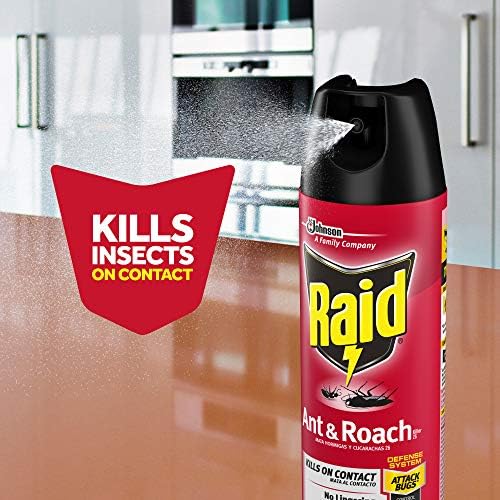Raid Ant & Roach Killer Spray for Listed Bugs, Insect, Spider, For Indoor Use, Fresh Scent, 12 Oz, Pack of 12
