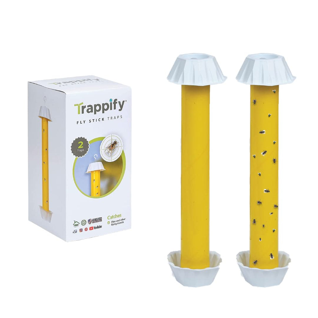 Trappify Hanging Fly Traps Outdoor: Fruit Fly Traps for Indoors | Fly Catcher, Gnat, Mosquito, & Flying Insect Catchers for Inside Home - Disposable Sticky Fly Trap for Indoor House Pest Control