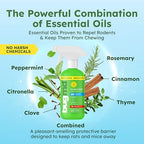 BugMD Peppermint Oil Spray for Rodents - 16oz Mouse Repellent & Rodent Repellent Spray, Natural Mice Repellent with Cinnamon, Clove, and Rosemary Oils - Safe Indoor & Outdoor Use