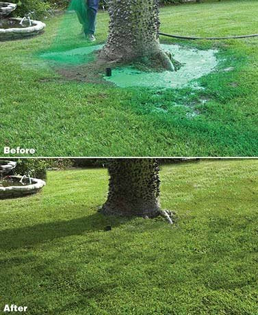 Hydro Mousse - Liquid Lawn Refill Pack, 2lb Bag (Covers 400sq. ft.)