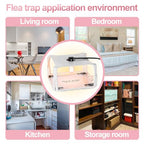 Flea Traps for Inside Your Home with Light 2 Packs, Flea Light Trap for Indoor Bed Bug, Insect Killer Pest Control Sticky Natural Trapper