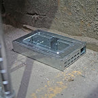 Southern Homewares Itrap Multi-Catch Clear Top Humane Repeater Mouse Trap, 2 Pack