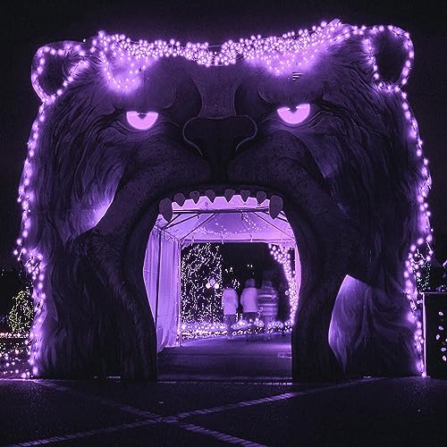 Twinkle Star 600 LED Window Fairy Curtain String Lights, 8 Modes Fairy Lights for Halloween Christmas Bedroom Wedding Party Home Garden Outdoor Indoor Wall Decorations, Purple