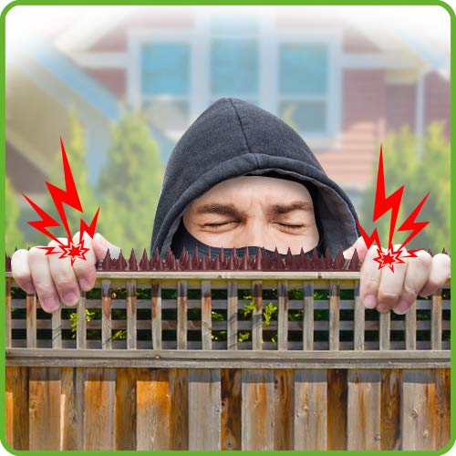 DE-BIRD Defender Spikes, Bird Deterrent & Cat Repellent Outdoor to Keep Cats Away, Easy-Install Plastic Bird Spikes Anti Theft Strips, 12pk [12 Foot]