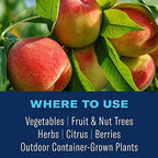 BioAdvanced Organics Brand Tomato, Vegetable & Fruit For Insects, Ready-to-Use, 24 oz