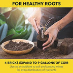 Harris Coco Coir Pith, 4 Bricks Expand to 9 Gallons of Coconut Coir to Promote Healthy Root Growth