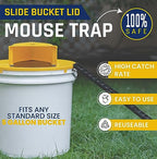 DYMPORT Mouse Trap Bucket, Auto Reset Flip and Slide Mouse Trap for Indoor and Outdoor Usage, Bucket Mouse Trap 5 Gallon Bucket Compatible
