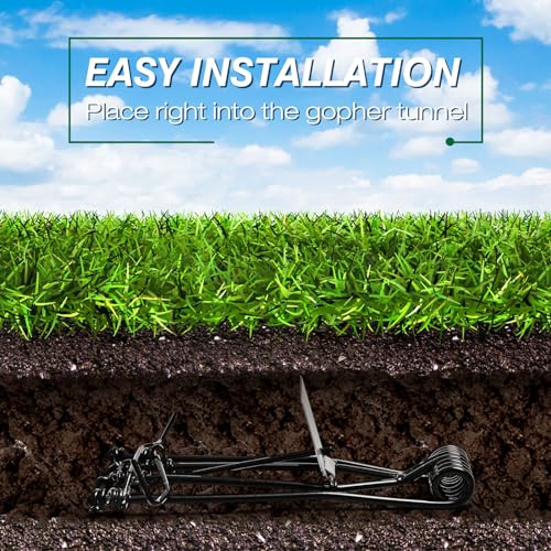 Qualirey 8 Pcs Outdoor Gopher Trap Easy Set Mole Trap Weather Resistant Gopher Killer Vole Trap for Lawn Garden Farm (Black)