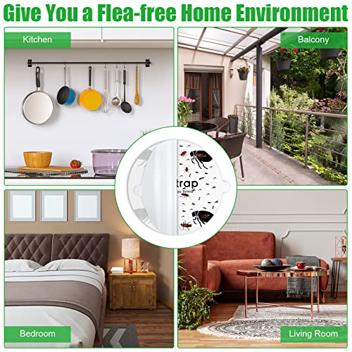 Flea Trap Refill Discs Sticky Traps Fly Trap Refill Glue Board Refills Trap Double Layer Adhesive Nontoxic Odorless Pest Control Traps Replacement Sticky Glue Pads 7.1 Inch for Bugs Flies (60 Pcs)