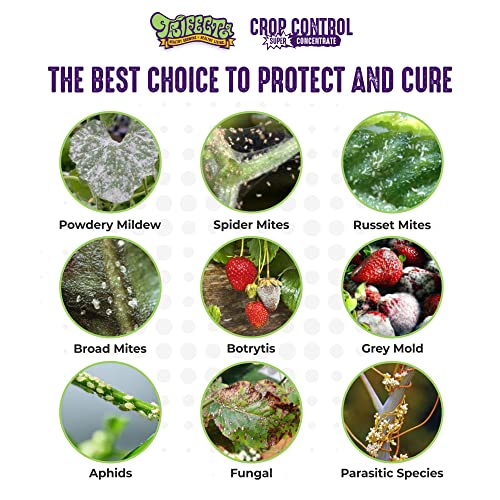 Trifecta Crop Control Super Concentrate All-in-One Natural Pesticide, Fungicide, Miticide, Insecticide, Help Defeat Spider Mites, Powdery Mildew, Botrytis, Mold and More on Plants 32 OZ
