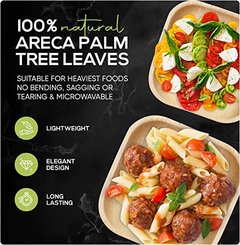 KoalaLove Palm Leaf Plates Bamboo Plates Disposable Square 8 inch 100 Bulk Party Pack Elegant Sturdy Design Better Than Paper and Plastic Plates (KoalaLove-PLP-8IN-100-Plates)