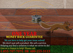 Cleanrth PCS101 Three-Stage ComboSonic Squirrel Repeller | Squirrel Control