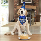 ADOGGYGO Dog Birthday Party Supplies, Multi Size Offered, Birthday Boy Dog Bandana, Dog Birthday Hat with Numbers for Large X-Large Dogs Pets (X-Large, Blue)