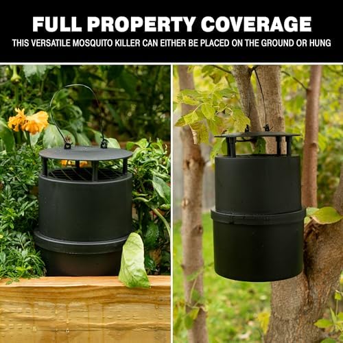 Catchmaster Oasis Ovi-Mini Mosquito Trap Refill 8-Pack, Home Outdoor Mosquito Control, Pet Safe Backyard Insect Killer, Replacement Glue Boards Bug Catcher, Pool, Patio, Shed & Garden Pest Control