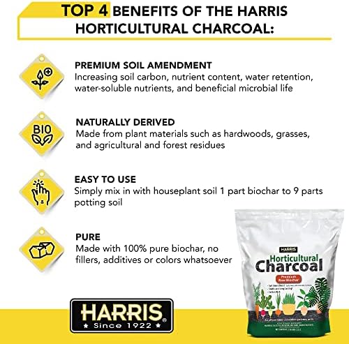 Harris Horticultural Charcoal, Premium Biochar Soil Amendment for Plants and Terrariums, 2qt