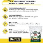 Harris Horticultural Charcoal, Premium Biochar Soil Amendment for Plants and Terrariums, 2qt
