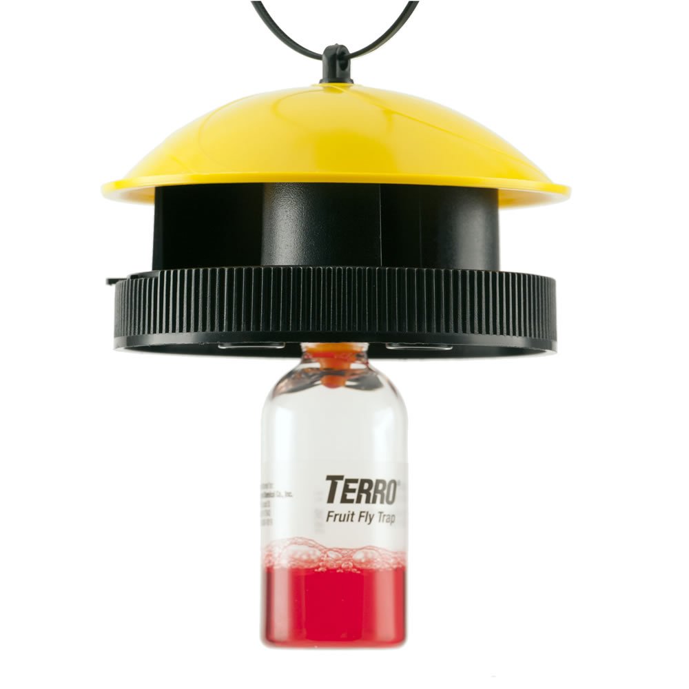Terro t514 Wasp Trap Plus Fruit Fly, 1 Pack, Flourecent