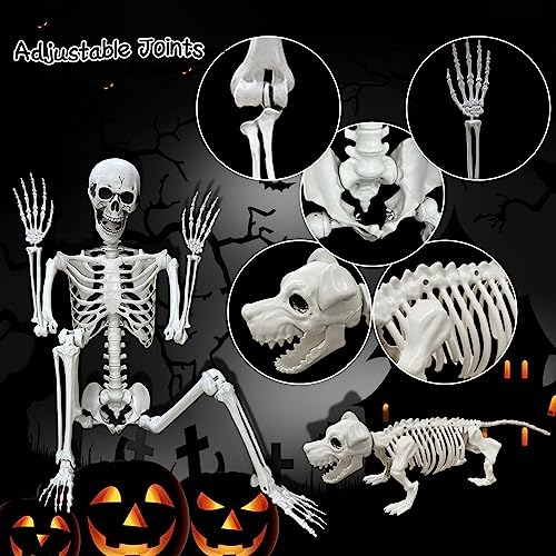 Lodou 5.4Ft Posable Life Size Human Adult Skeletons Plastic Human Bones with Movable Joints for Halloween Decoration
