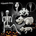 Lodou 5.4Ft Posable Life Size Human Adult Skeletons Plastic Human Bones with Movable Joints for Halloween Decoration
