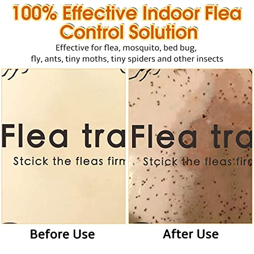 Flea Traps for Inside Your Home, 2 Pack Flea Trap Light Indoor, Bedbug Killer w/Sticky Pads Refills & Light Bulb Replacement, Safe Natural House Pest Control Infestation Treatment Trap Lamp for Pet