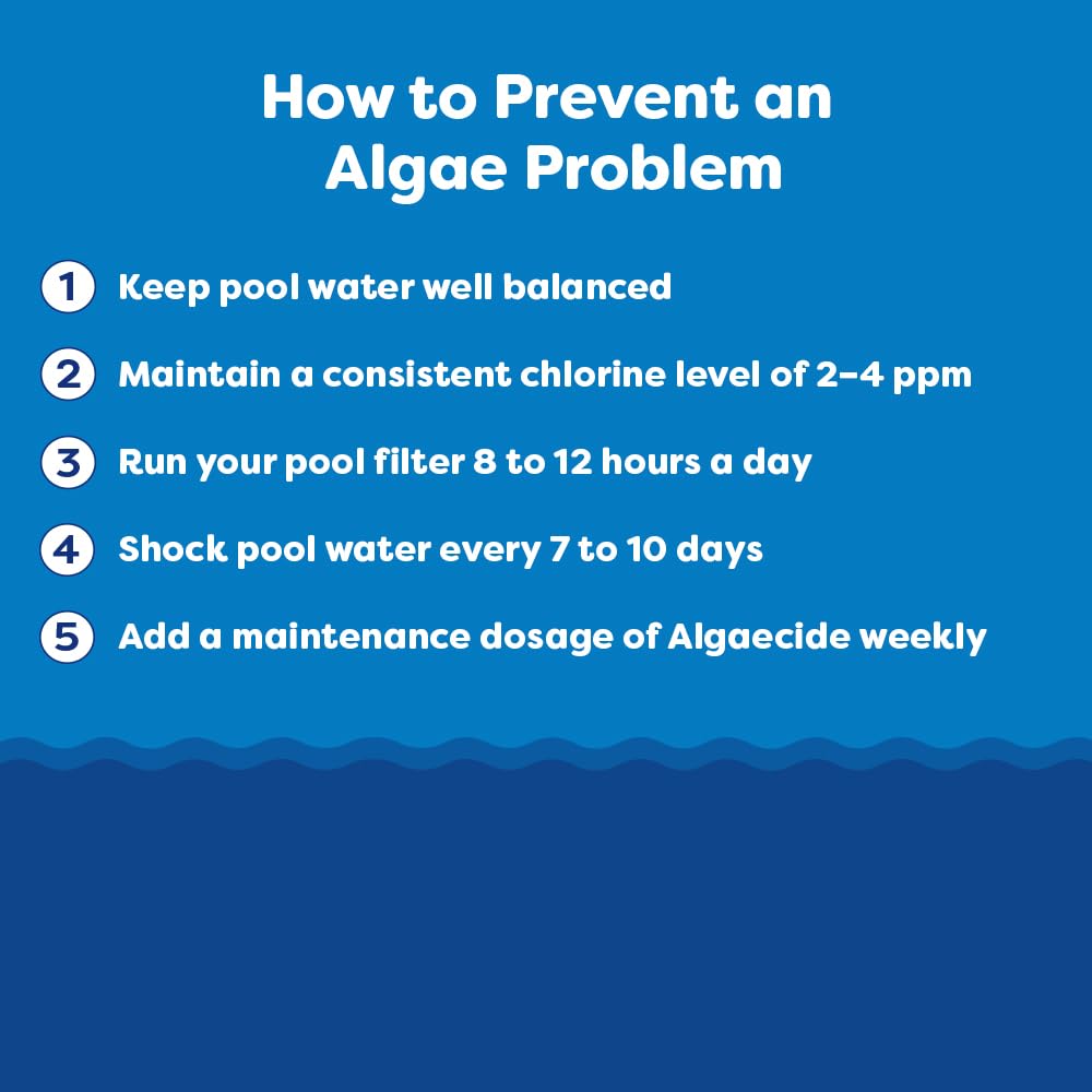 In The Swim Super Algaecide for Above Ground or Inground Swimming Pools – Low Odor, Non-Foaming Preventative for Yellow/Mustard Algae in Swimming Pools - 7.1% Chelated Copper – 1 Gallon
