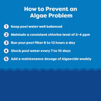 In The Swim Algaecide 60 Plus for Swimming Pools - Non-Metallic, Low Odor, Non-Foaming Algae Bloom Preventative - Chlorine Sanitizer Compatible - 1 Gallon