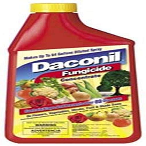 Daconil® Fungicide Concentrate for Insects 16 oz. - 100523634