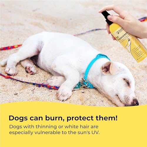 Gentle Creatures Dog Sunscreen - SPF 30+ With Skin Moisturizing Vitamin E and Olive Oil - No Zinc Oxide Safe for All Dogs and Cats - Dog Beach Accessories, Dog Camping Gear, Sunscreen for White Dogs