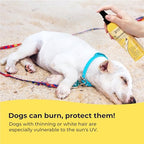 Gentle Creatures Dog Sunscreen - SPF 30+ With Skin Moisturizing Vitamin E and Olive Oil - No Zinc Oxide Safe for All Dogs and Cats - Dog Beach Accessories, Dog Camping Gear, Sunscreen for White Dogs