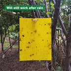 60 Sheets Sticky Fly Traps, Dual-Sided, for Flying Insect, Indoor and Outdoor, 8x6 Inch, Yellow