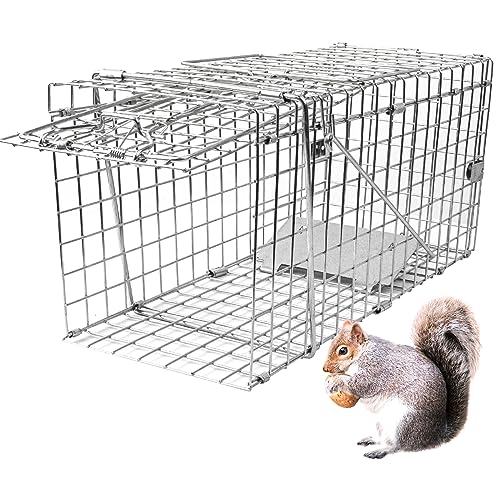 twocorn 17.3" Heavy Duty Live Squirrel Trap, Folding Small Animal Cage Traps, Humane Cat Trap for Stray Cats, Rabbits, Raccoons, Skunks, Possums and More Rodents, Catch and Release.