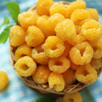 2 Golden Everbearing Raspberry Plants Live for Planting Outdoors, Sweet Raspberry Bareroots Starter Plants, Yellow Raspberry Bushes