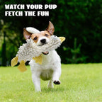 Nocciola Small Medium Dog Toys, Cute Soft Squeaky Crinkle Plush Stuffed Durable Pet Teething Animal Chew Toys for Medium Small Puppy, Cognitive Stimuting Boredom Accessories Girl Gifts 5 Packs