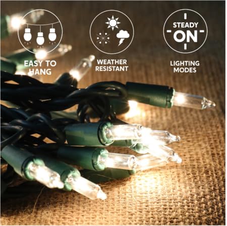 Joiedomi Clear Christmas Lights Outdoor,150 Count Christmas Tree Lights,38.7FT Warm White String Lights with Green Wire,Xmas Decorations for Indoor Party House Garden Yard Home