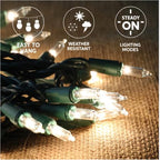 Joiedomi Clear Christmas Lights Outdoor,150 Count Christmas Tree Lights,38.7FT Warm White String Lights with Green Wire,Xmas Decorations for Indoor Party House Garden Yard Home