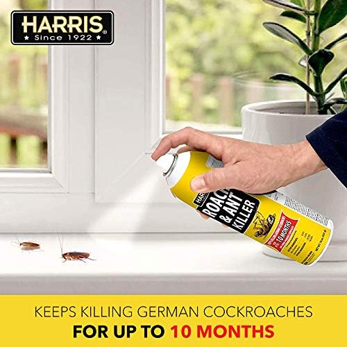 Harris 10-Month Roach & Ant Killer, Odorless & Non-Staining Aerosol Spray, 16oz