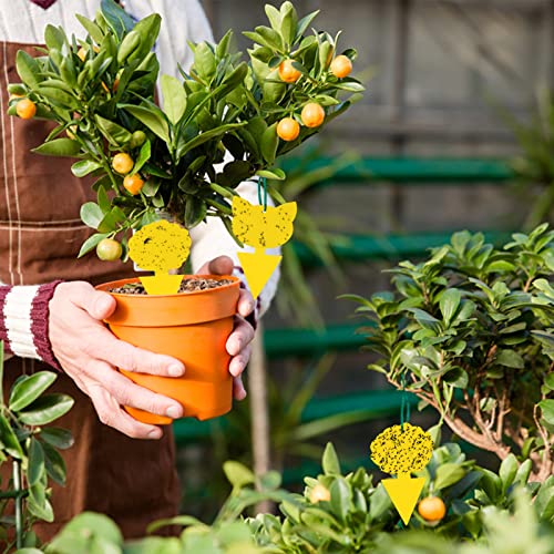 Stingmon 60 Pack Sticky Traps Indoor Plants Fruit Fly Traps, Yellow Sticky Trap Killer for Insects, Fungus Gnat Traps Sticky for House Plants Bugs